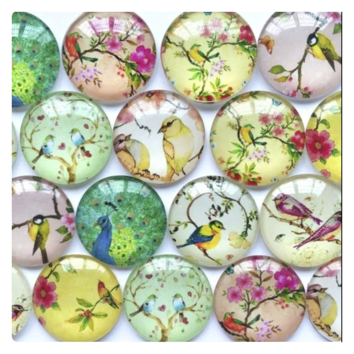 10pcs Glass Cabochons Bird Pictures Oval Shaped 20mm - - Asia Sell