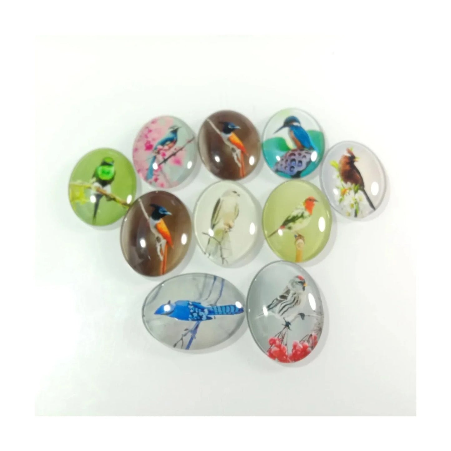 10pcs Large Glass Cabochons Bird Pictures Oval Shaped 30x40mm - - Asia Sell