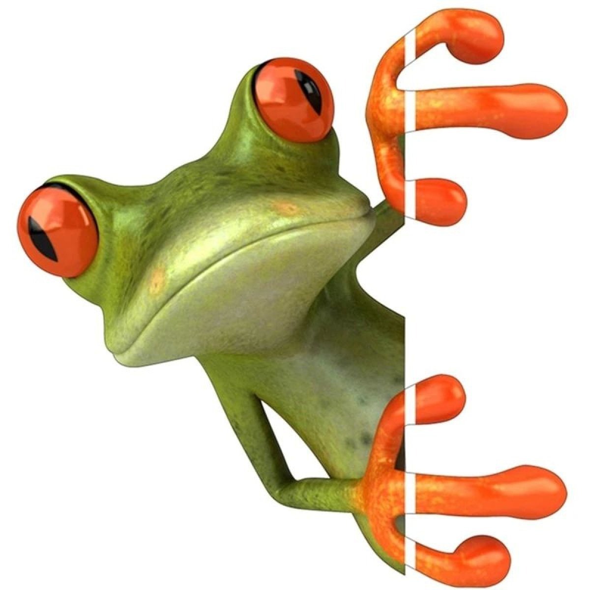 2x Frog Stickers 14-15cm Window Bathroom Toilet Seat Animal Decal Wall Tiles Car - B - Asia Sell