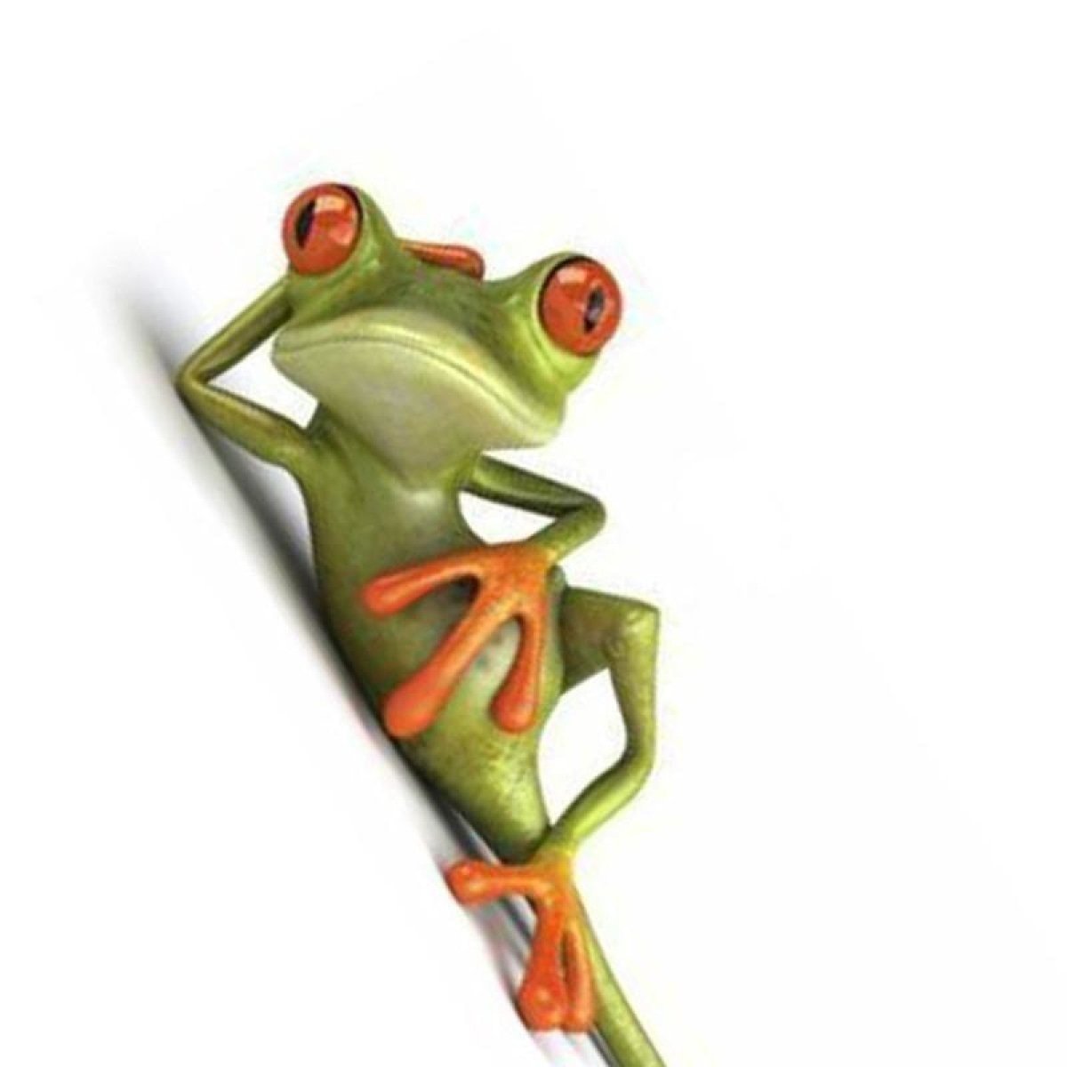 2x Frog Stickers 14-15cm Window Bathroom Toilet Seat Animal Decal Wall Tiles Car - D - Asia Sell