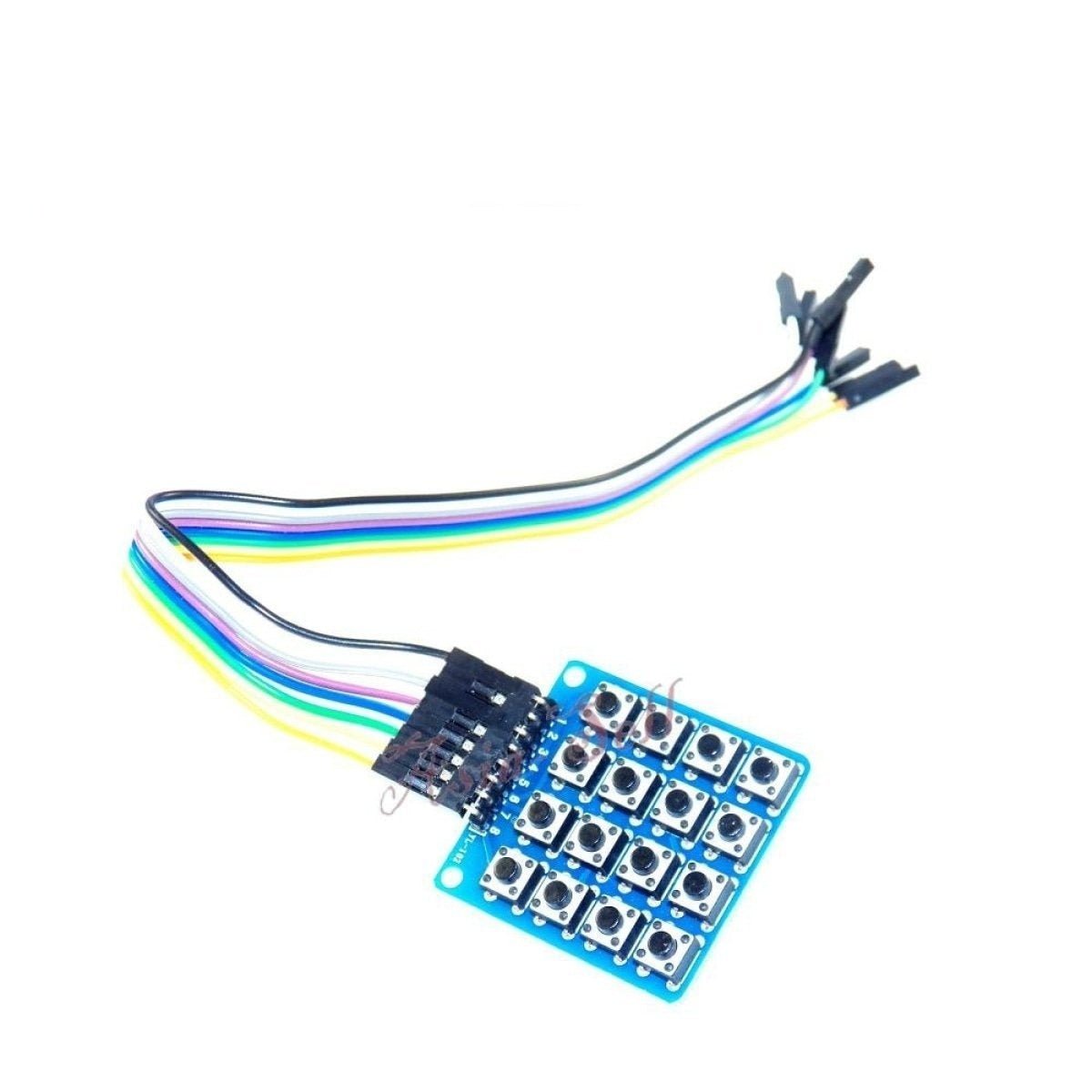 2x4 4x4 Keypad Buttons Board Matrix Keyboard 8 16 Key - 4X4 with cables - Asia Sell