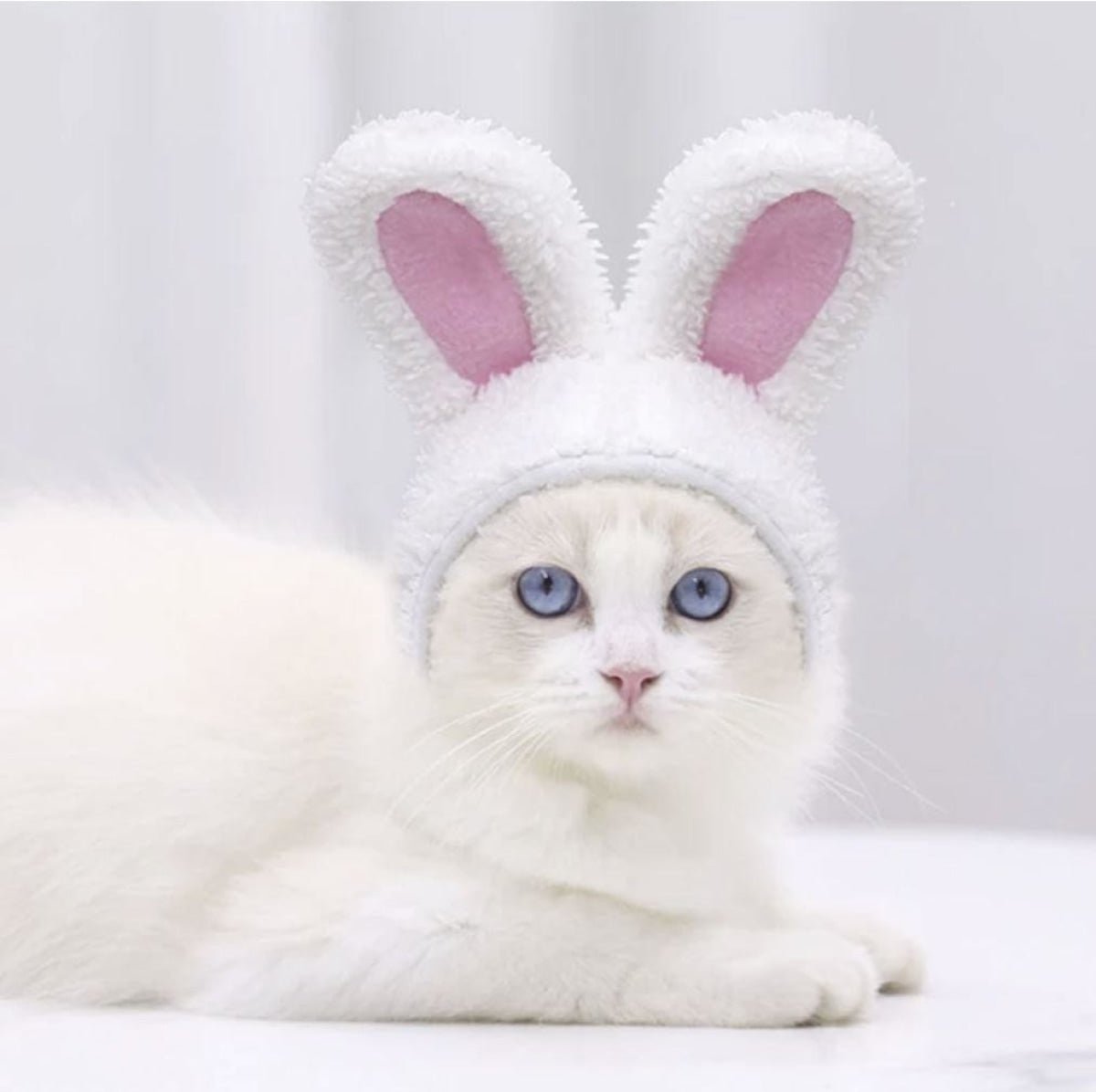 Bunny Ears for Cats and Dogs White and Pink Cat Clothing Costume Party Head Costume Mask - - Asia Sell