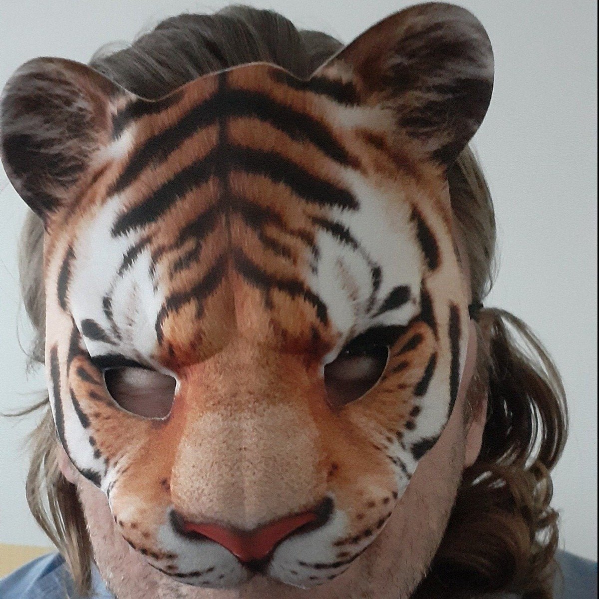Childrens Masks Fox Pig Rabbit Tiger Animal Mask Kids Costume White Brown Black Party - White Pig - Asia Sell