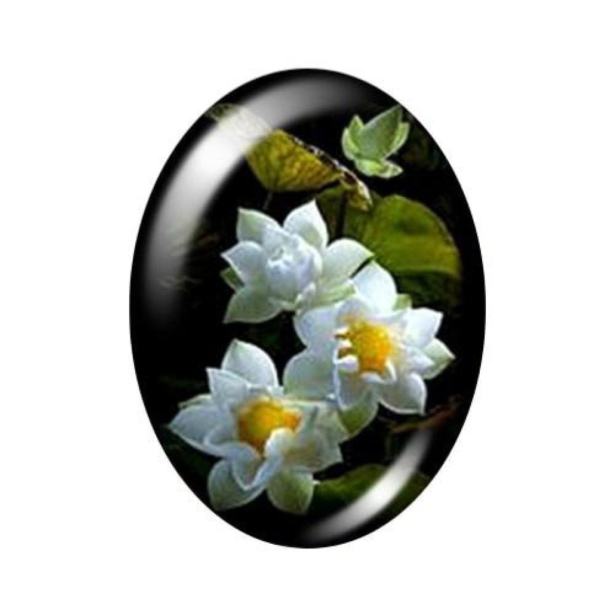 10pcs 13x18mm/18x25mm/30x40mm Oval Photo Glass Cabochon Vintage Flowers Rose Daisy Flat Back - 13x18mm Black - Asia Sell