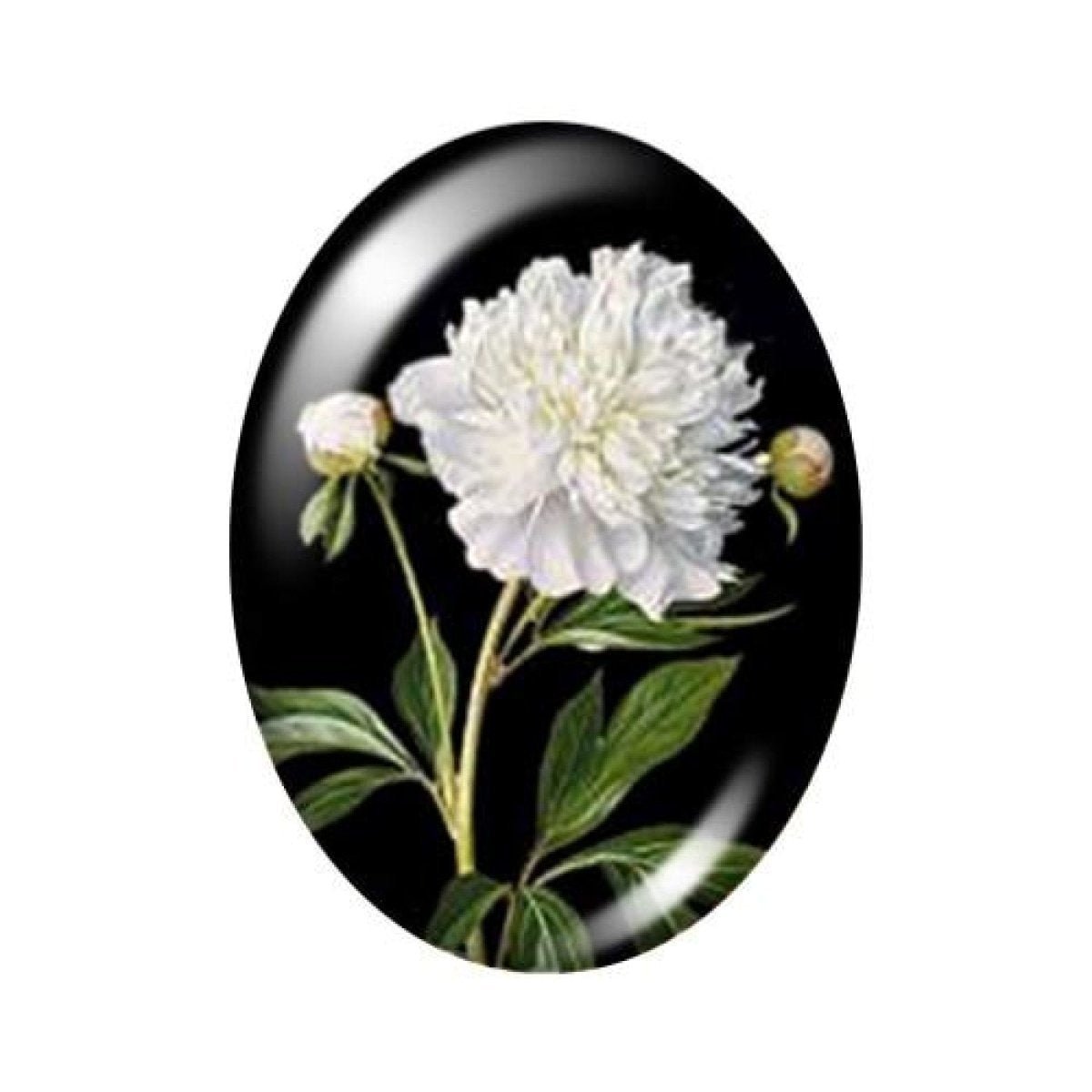 10pcs 13x18mm/18x25mm/30x40mm Oval Photo Glass Cabochon Vintage Flowers Rose Daisy Flat Back - 13x18mm Black - Asia Sell