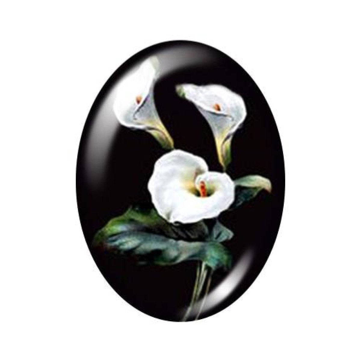 10pcs 13x18mm/18x25mm/30x40mm Oval Photo Glass Cabochon Vintage Flowers Rose Daisy Flat Back - 13x18mm Black - Asia Sell