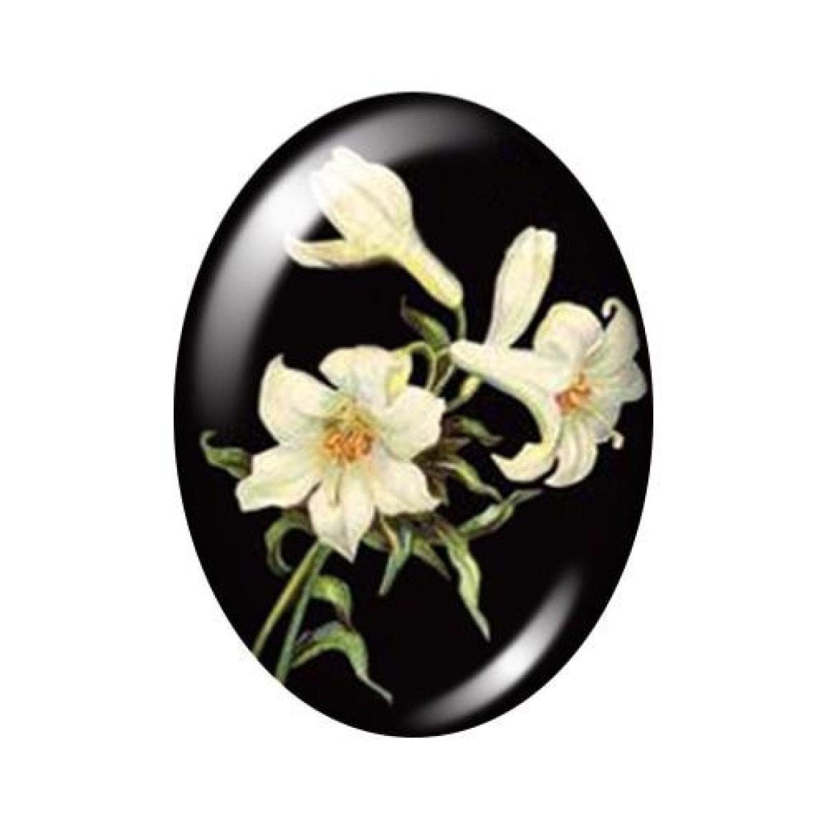 10pcs 13x18mm/18x25mm/30x40mm Oval Photo Glass Cabochon Vintage Flowers Rose Daisy Flat Back - 13x18mm Black - Asia Sell