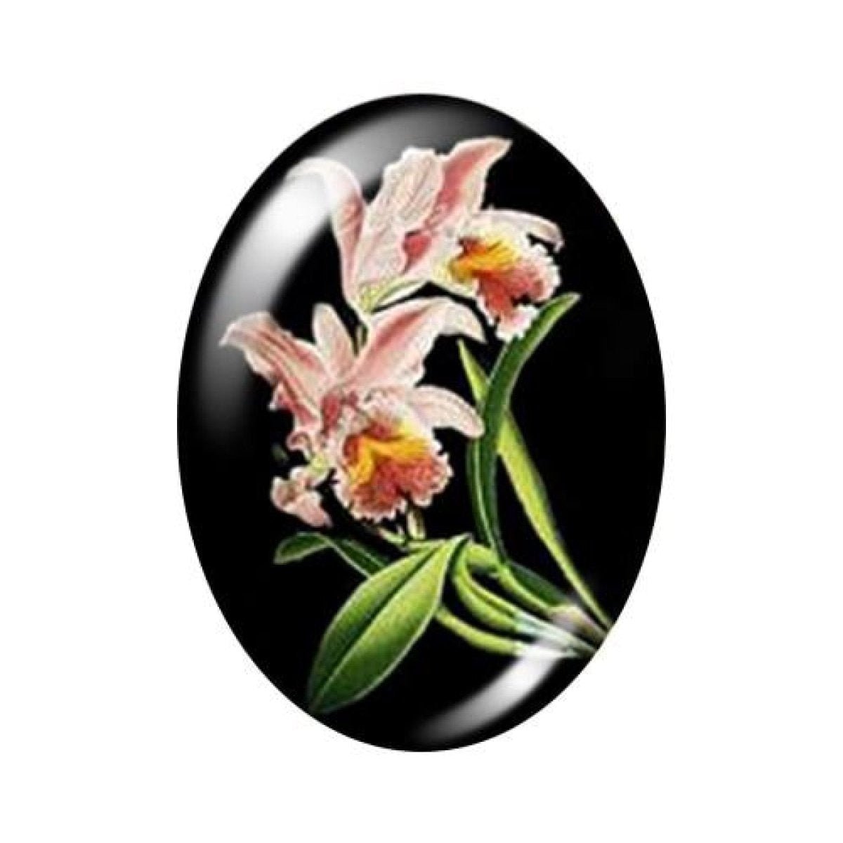 10pcs 13x18mm/18x25mm/30x40mm Oval Photo Glass Cabochon Vintage Flowers Rose Daisy Flat Back - 13x18mm Black - Asia Sell