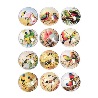 10pcs 30mm Round Glass Cabochons Handmade Bird Charms - - Asia Sell