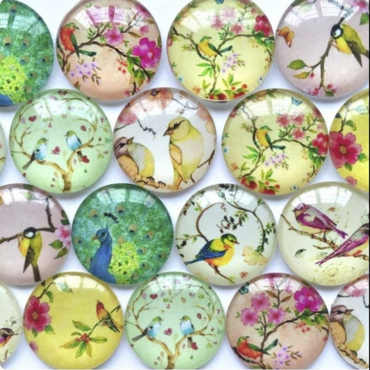 10pcs Glass Cabochons Bird Pictures Oval Shaped 20mm - - Asia Sell