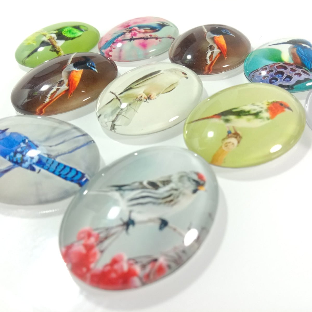 10pcs Large Glass Cabochons Bird Pictures Oval Shaped 30x40mm - - Asia Sell