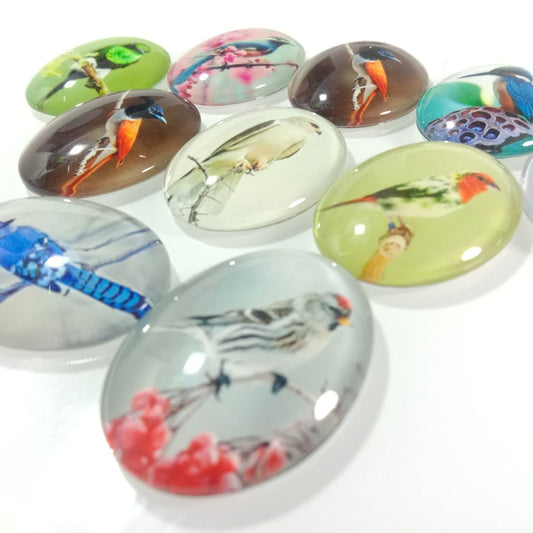 10pcs Large Glass Cabochons Bird Pictures Oval Shaped 30x40mm - Asia Sell