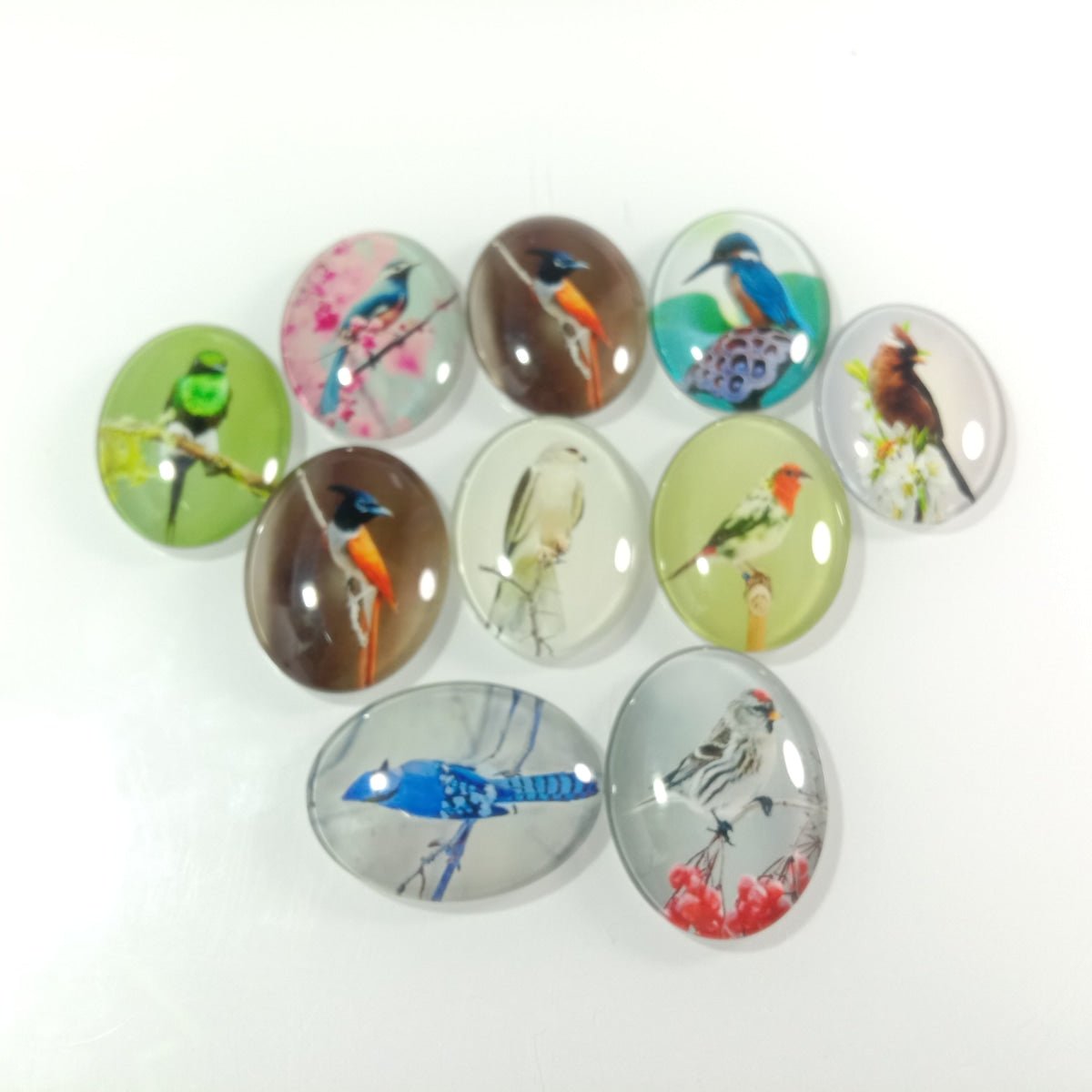 10pcs Large Glass Cabochons Bird Pictures Oval Shaped 30x40mm - - Asia Sell