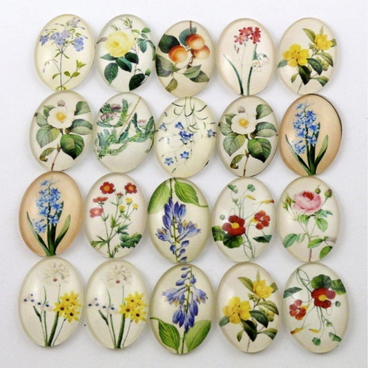 10pcs Oval Shaped Photo Glass Cabochons Flower Floral Fruit Buds Colourful 18x25mm - Asia Sell