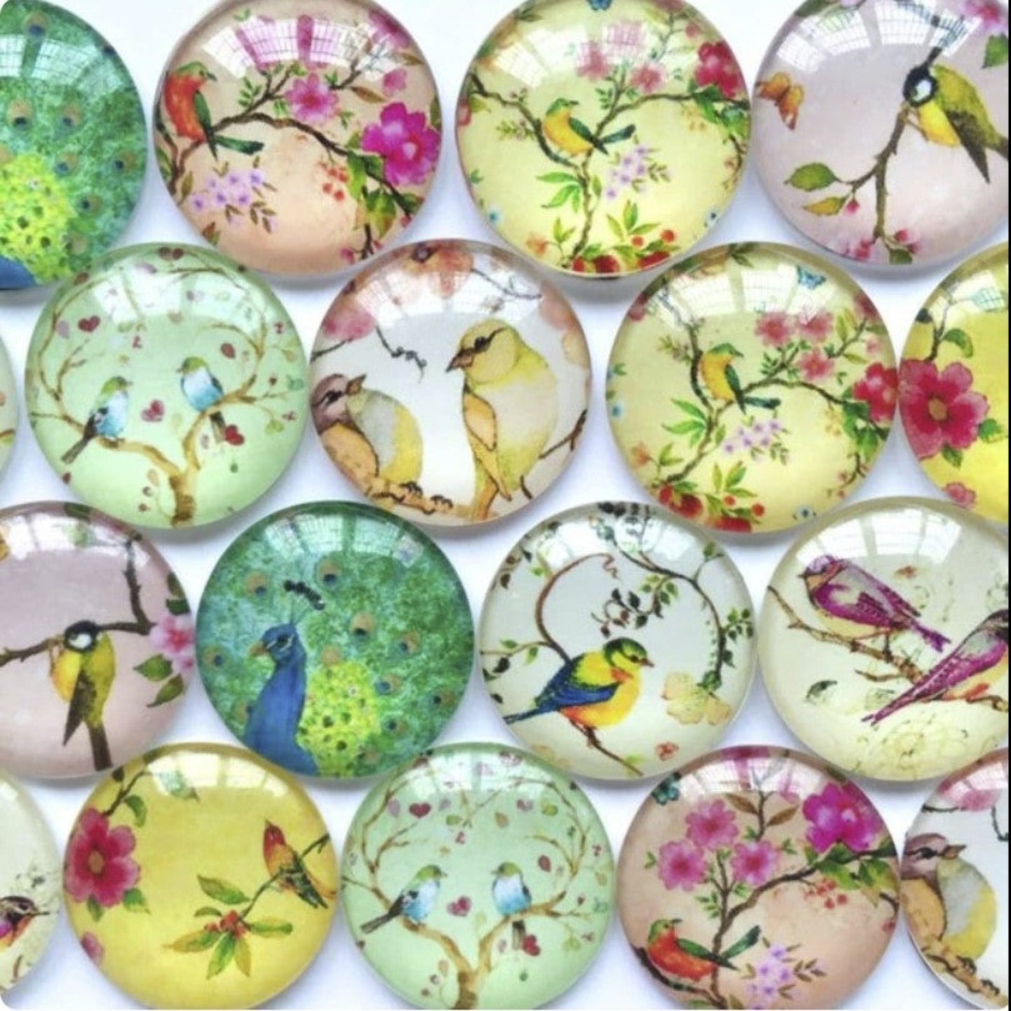 10pcs Glass Cabochons Bird Pictures Oval Shaped 20mm