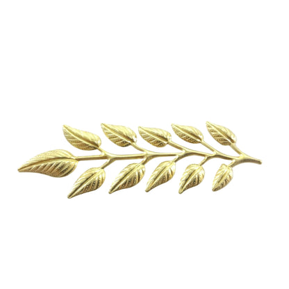 Gold leaf branch on a white background