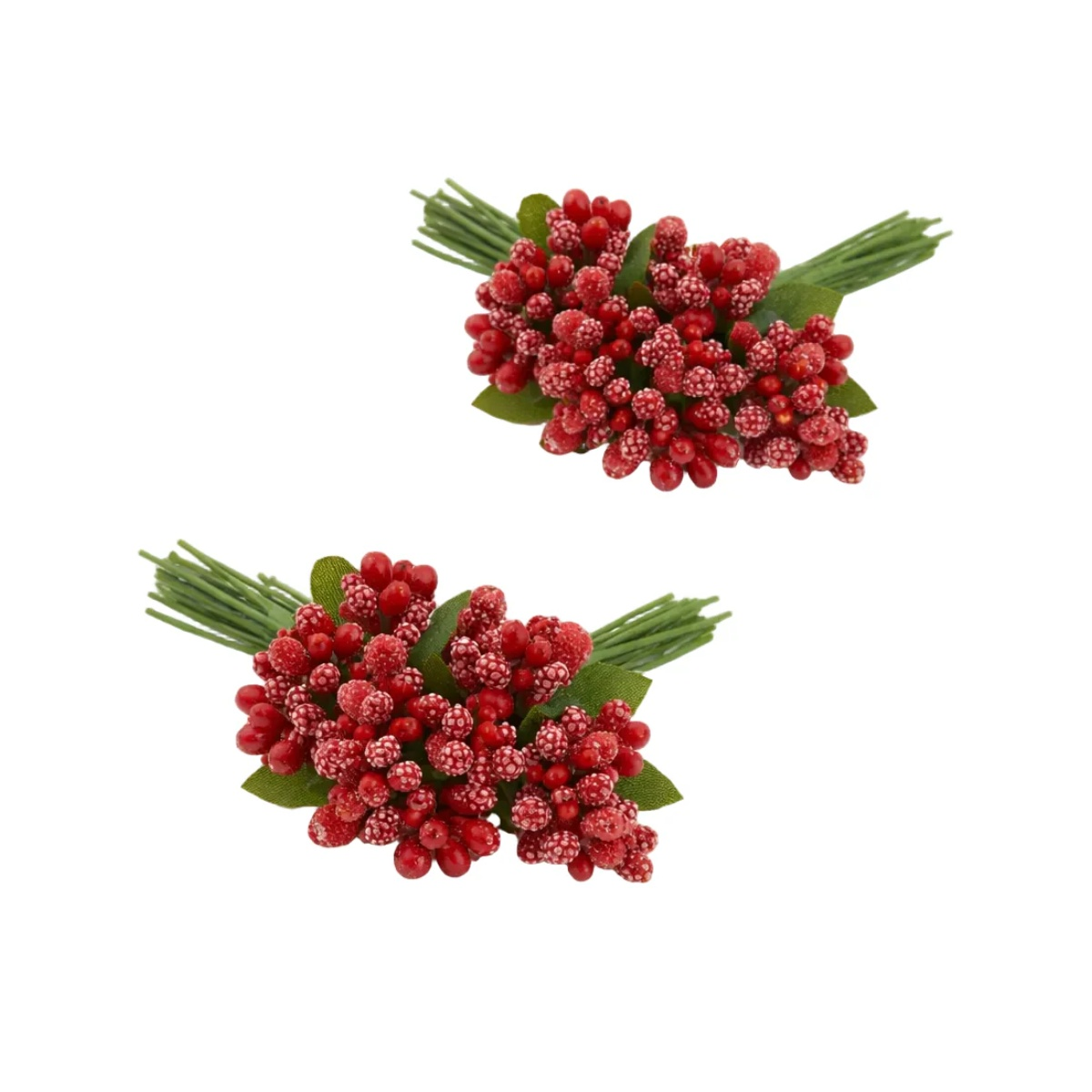 Two red berry clusters with green leaves on a white background