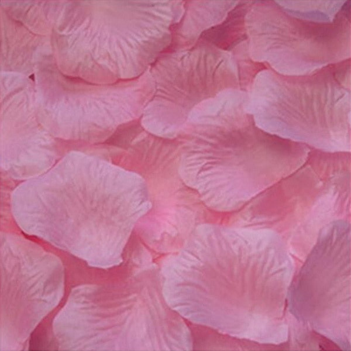 500pcs Rose Petals Flower Artificial Flowers Table Confetti Home Wedding Decorations - Champagne - Asia Sell