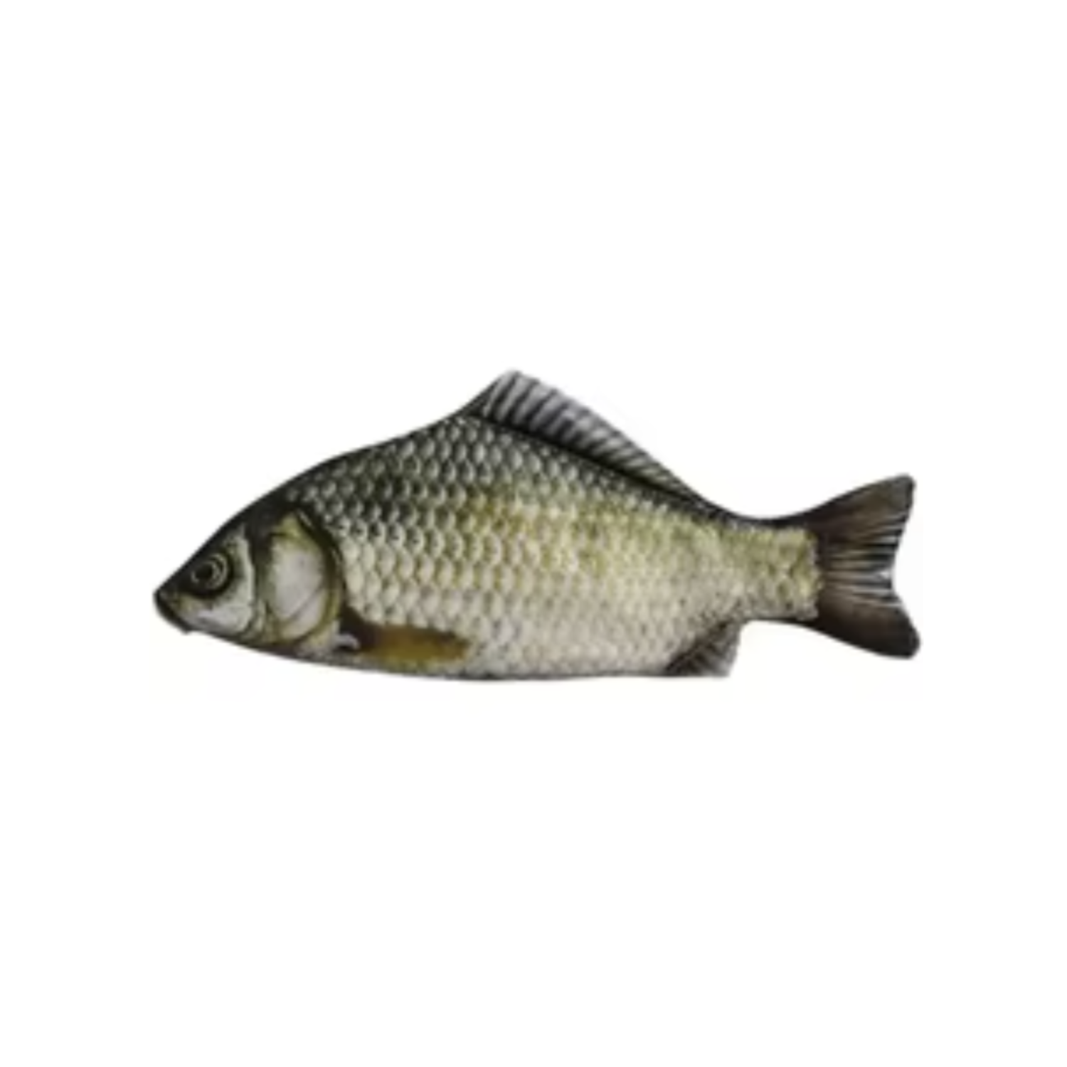 Carp Fish Shape Pencil Case Make-up Cosmetics Bag Pouch With Zipper Zip Crafts Toys Gift Bonanza Pouch Bags | Asia Sell