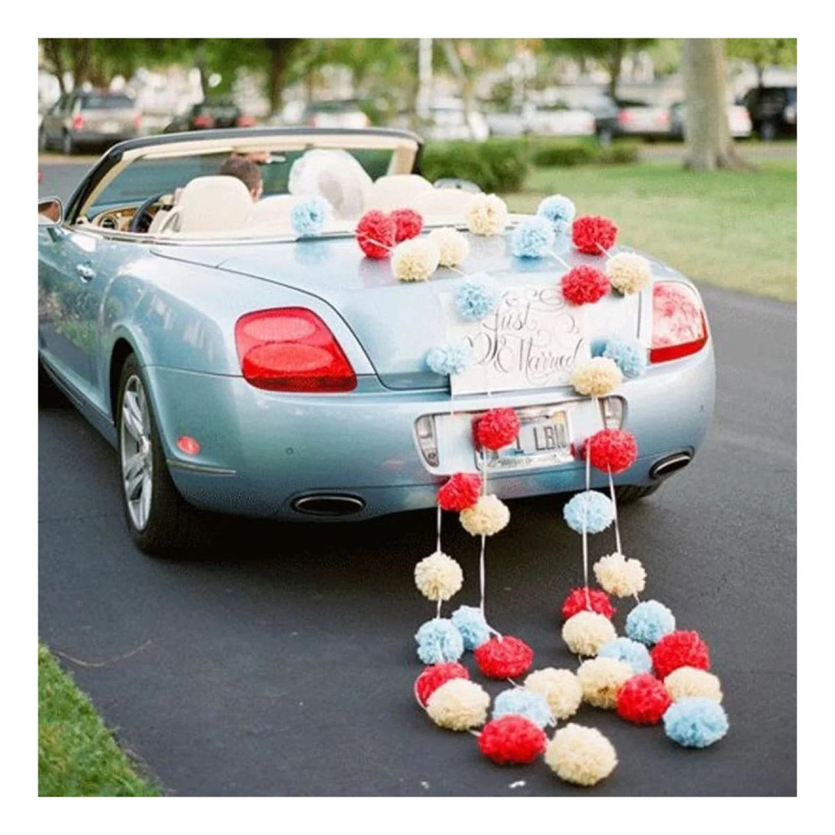 5pcs 6"-10" Tissue Paper Wedding Baby Shower Birthday Party Pom Poms