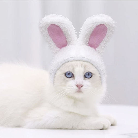 Bunny Ears For Cat Dog