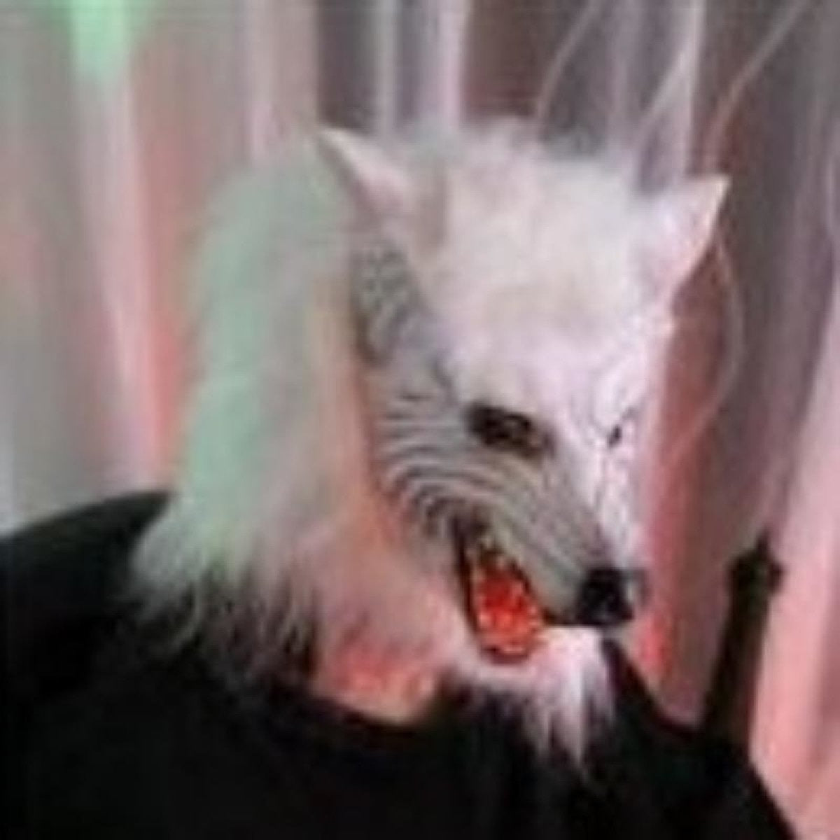 Props Party Dress Up Horror White Wolf Scary Mask Animal Toy Horror Dog - Asia Sell.JPG